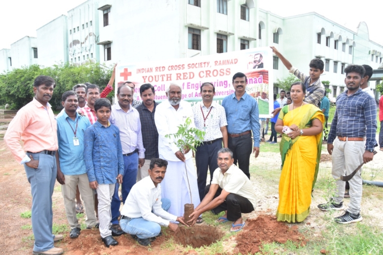 YRC Sapling Plantation Function 2019