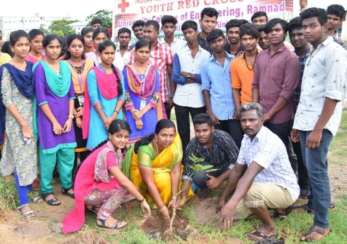 YRC Sapling Plantation Function 2019